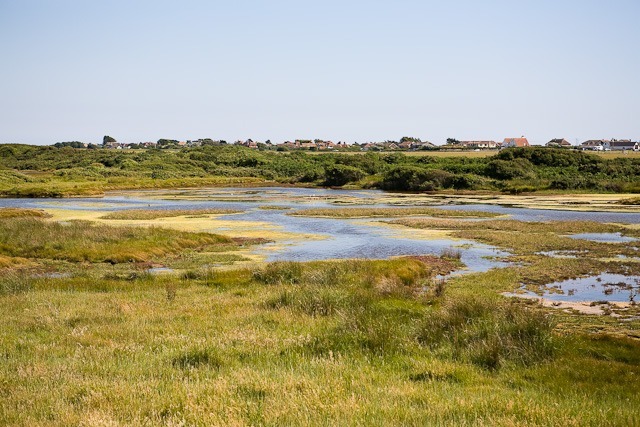 Salt_Marsh_south_of_Roman_Landing_-_geograph.org.uk_-_1368924