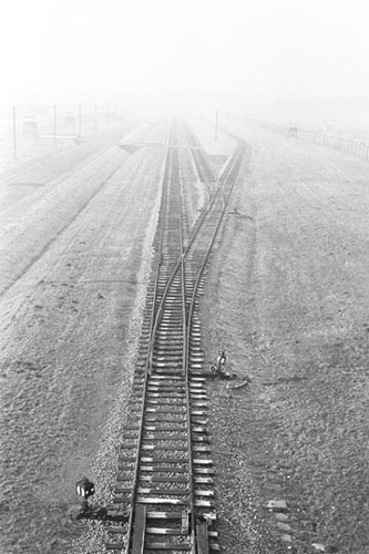 Tracks to Auschwitz, 1999