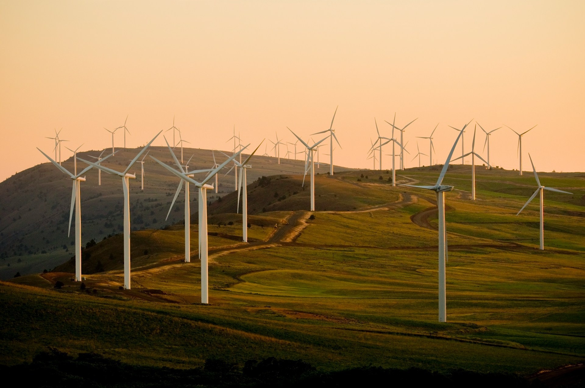 A windfarm in California