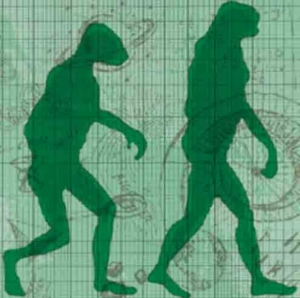 Islam and evolution illustration