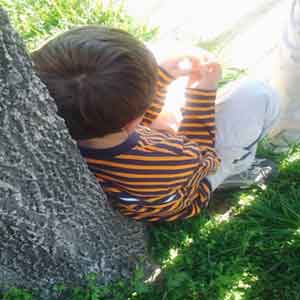 Boy under tree