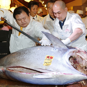 record tuna