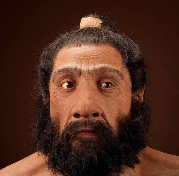 Homo neanderthalensis adult male. Reconstruction based on Shanidar 1 by John Gurche for the Human Origins Program.