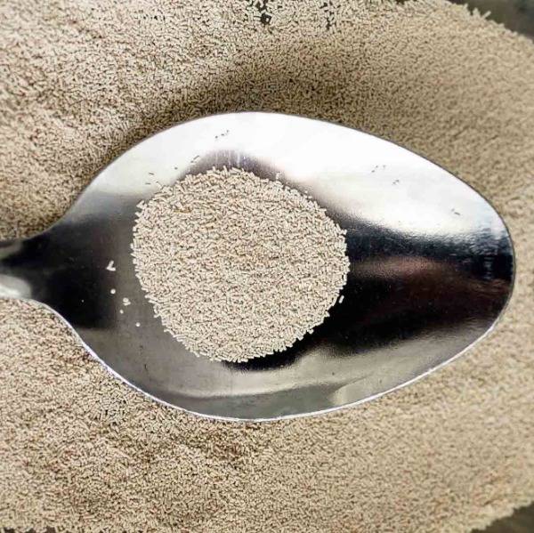 A spoon containing active yeast.