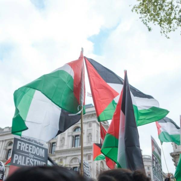 A pro-Palestine protest in London