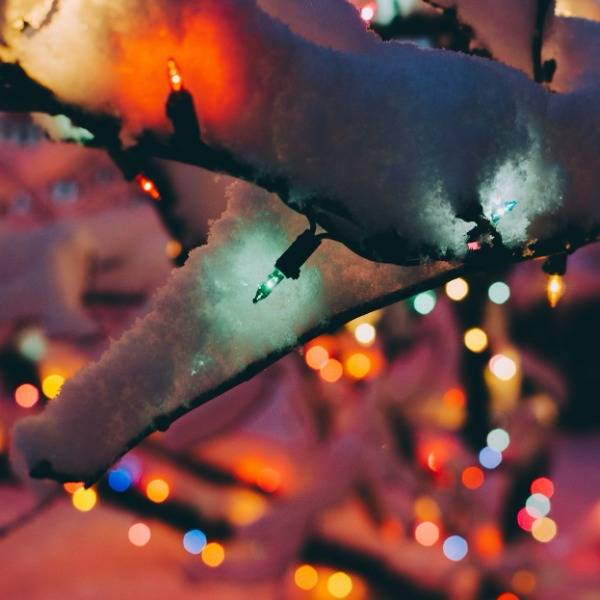Fairy lights on a snow-covered tree