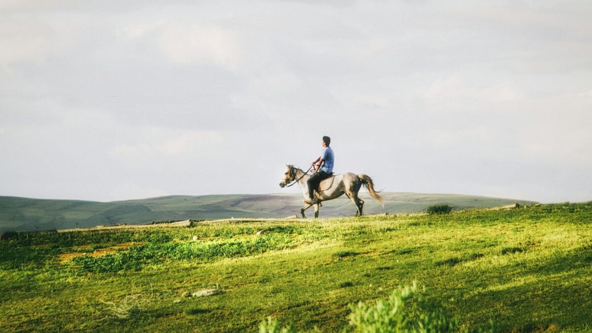 A rider on horseback moving through a field