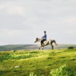 A rider on horseback moving through a field