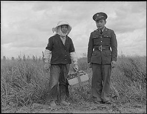 Dorothea Lange, A soldier and his mother in their strawberry field, Florin, California