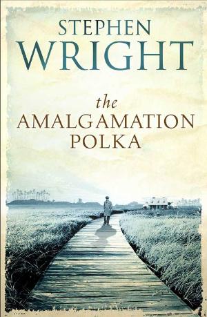 Cover of The Amalgamation Polka by Stephen Wright