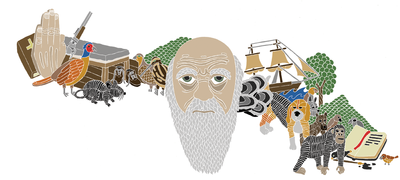 Jake Blanchard's illustration for Ruth Padel's Darwin poems