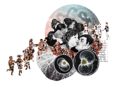 Sophioe Kern's illustration for Adam Kuper's article Kissing Cousins