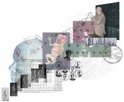 Sophie Kern illustration for Rationalism's dirty secret