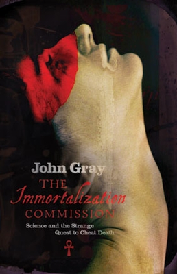 Jacket of The Immoralisation Commission