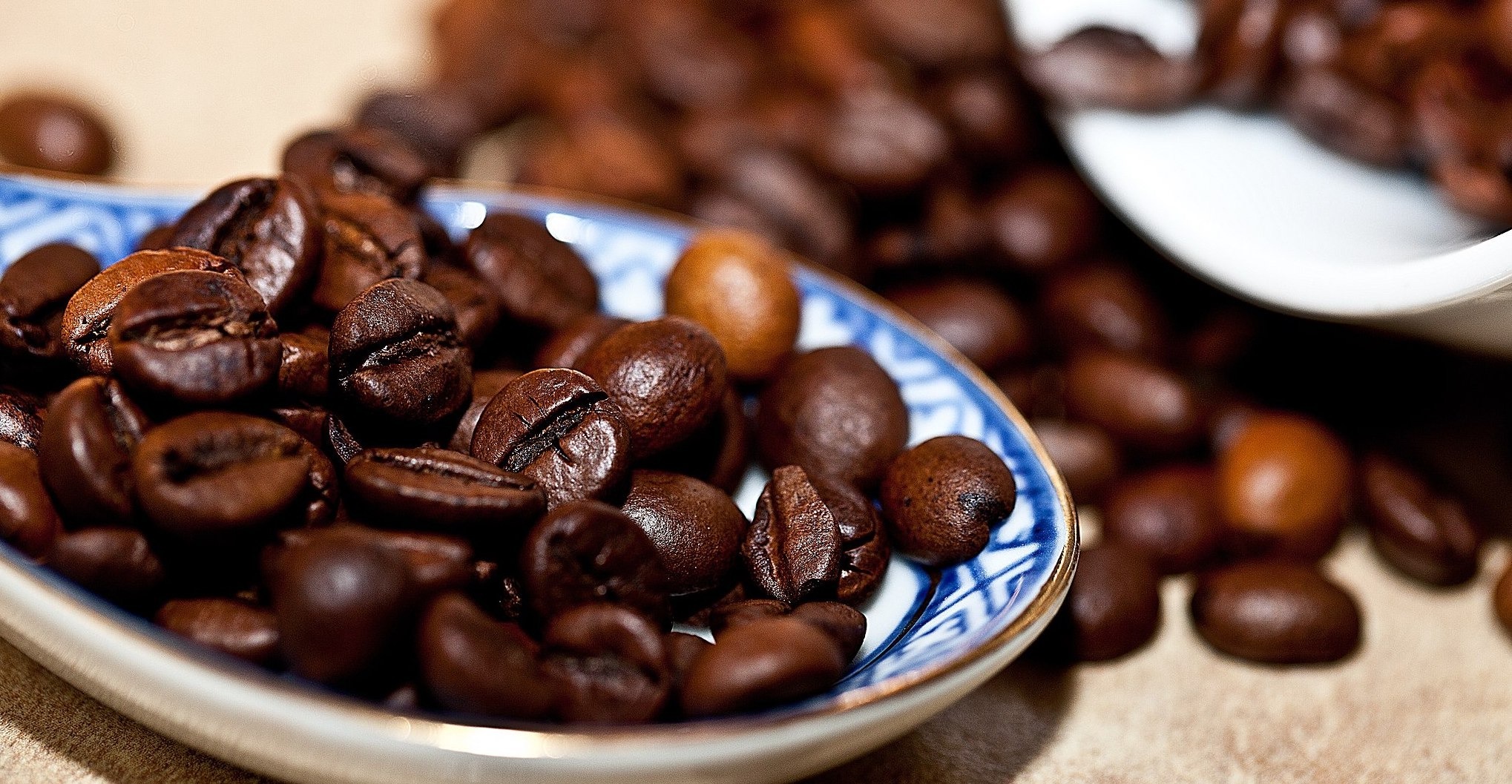 Coffee and parosmia