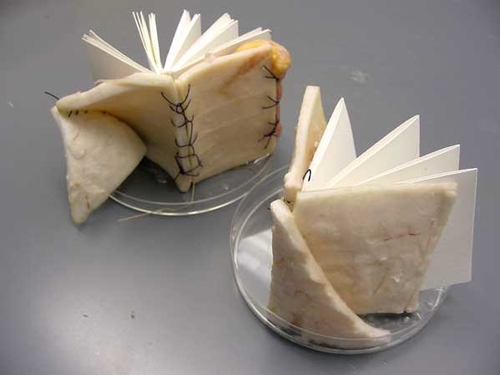 Tagny Duff - 'Cryobook Archives'. Books bound with excess human tissue obtained from patients of elective surgery, infected with the Lentivirus