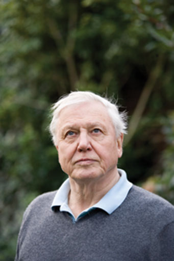 Attenborough by Linda Brownlee