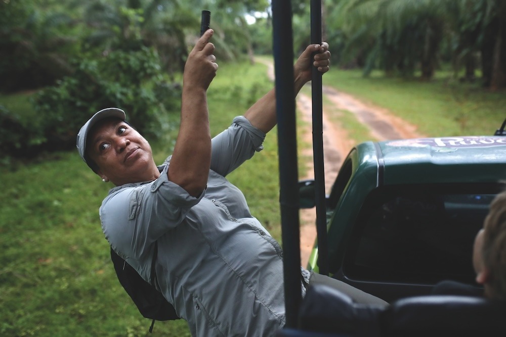 The guides at Piuval guesthouse take visitors out on daily jaguar-watching safaris
