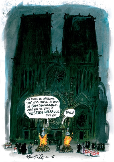 Martin Rowson's illustration for 'The last Crusade'