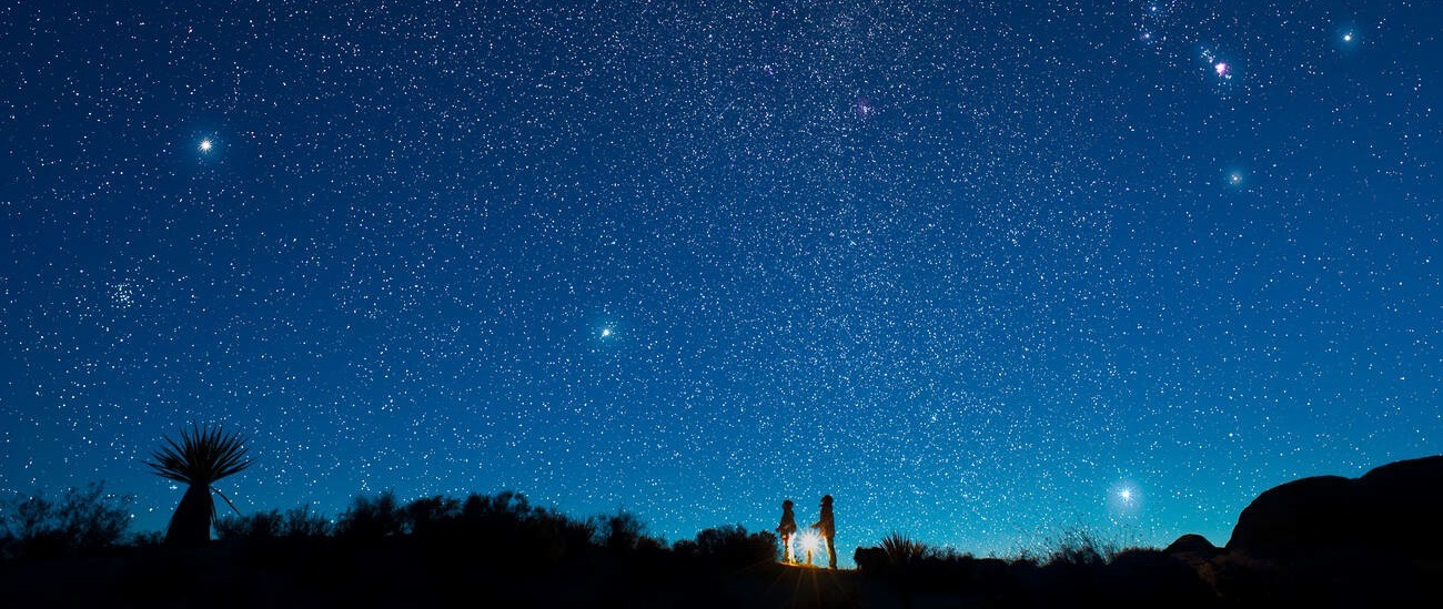 New Humanist best articles of 2024