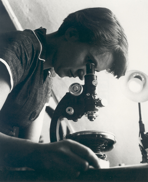 Rosalind Franklin