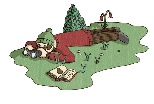 Wild Love 2 illustration by Jake Blanchard