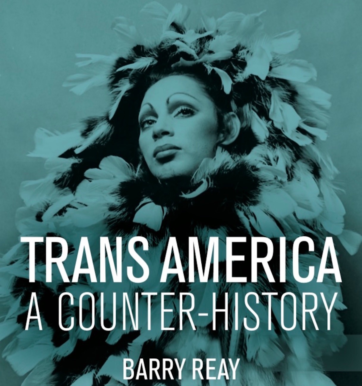 book-cover-trans