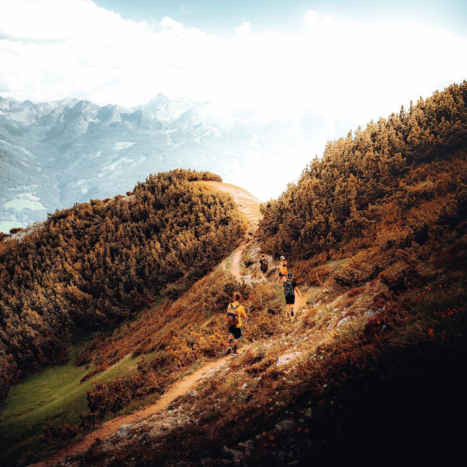 Hikers on a mountainous path