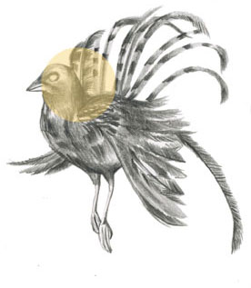 flying thought 1 by Irene Fuga