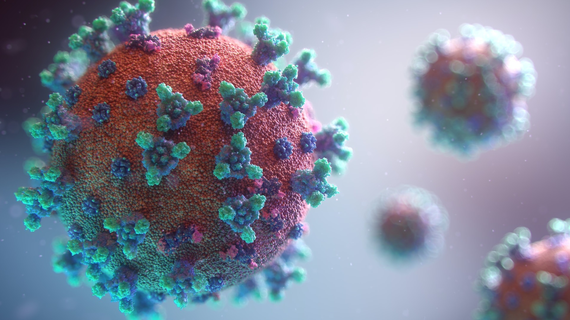 A visualisation of the Covid-19 virus