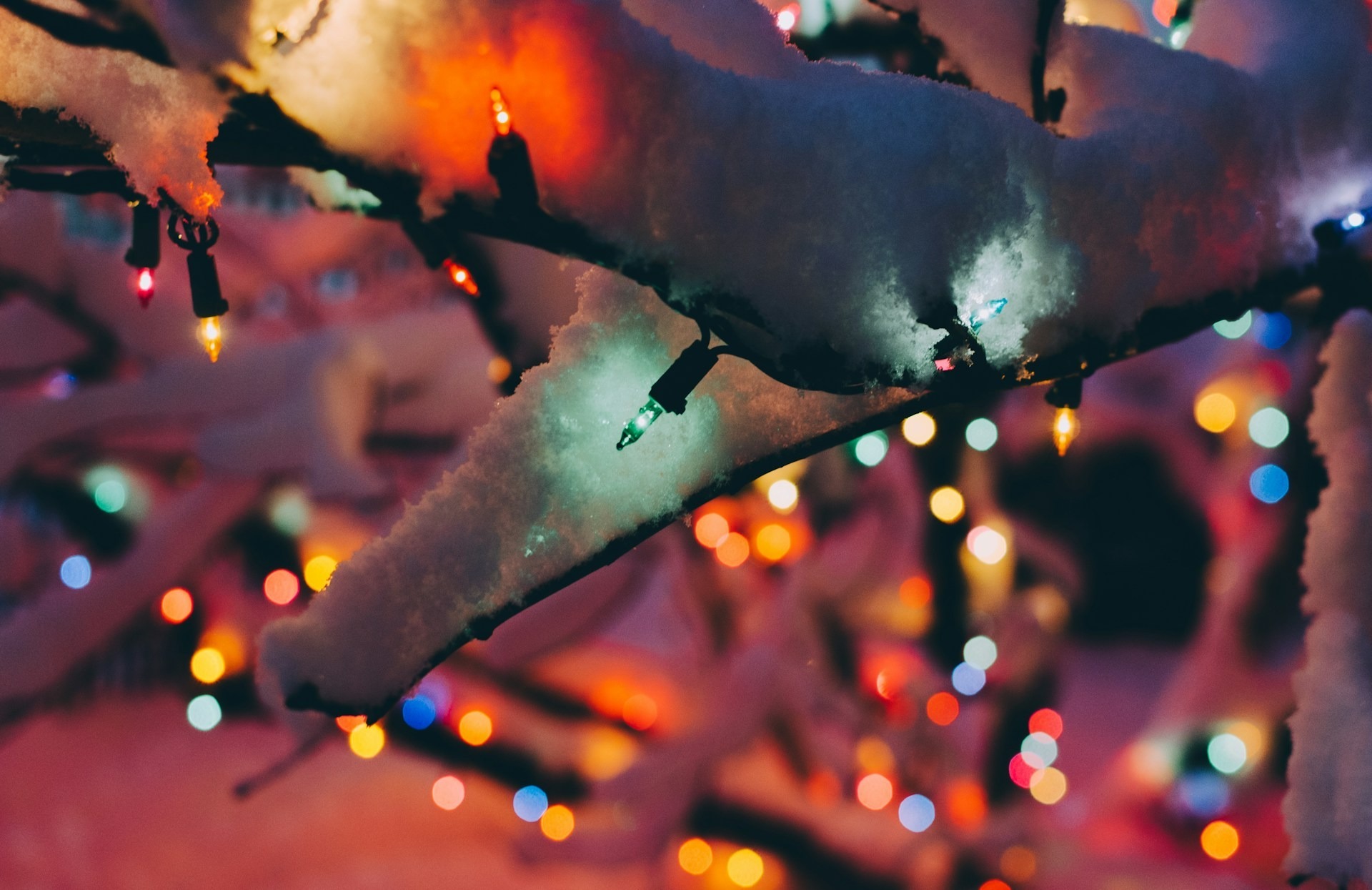 Fairy lights on a snow-covered tree