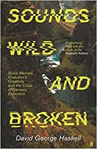 Sounds Wild and Broken