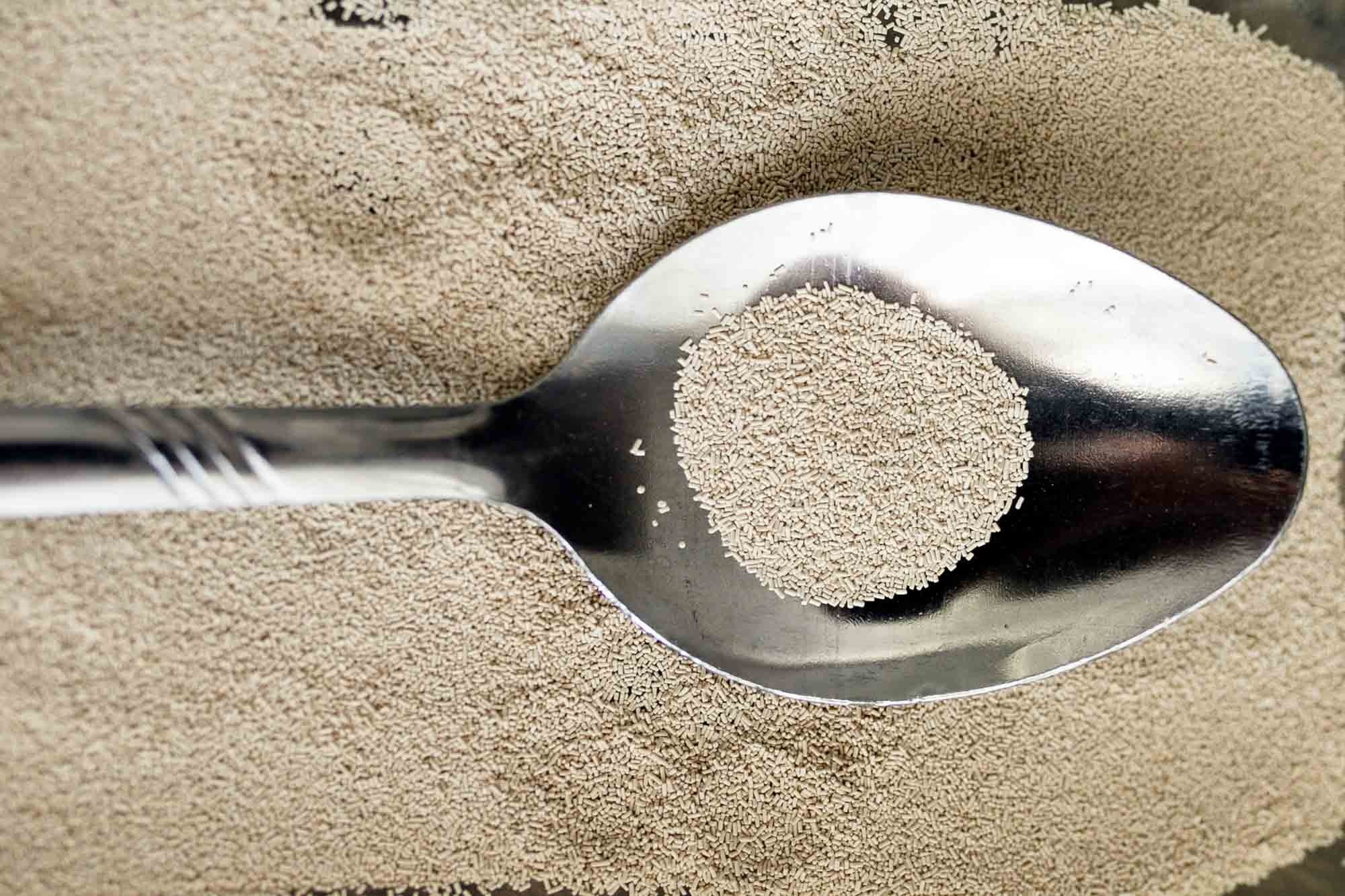 A spoon with active dry yeast.